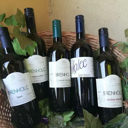 Wine Temple Jeruzalem Hotel Ivanjkovci